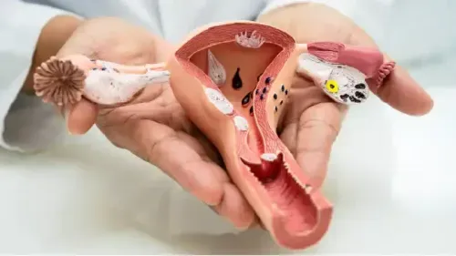 What is the Estimated Cost of Uterus Removal Surgery?
